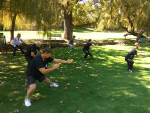 WhatsApp Image 2017-04-29 at 13.57.51